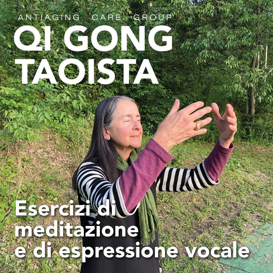 qi cong a bologna